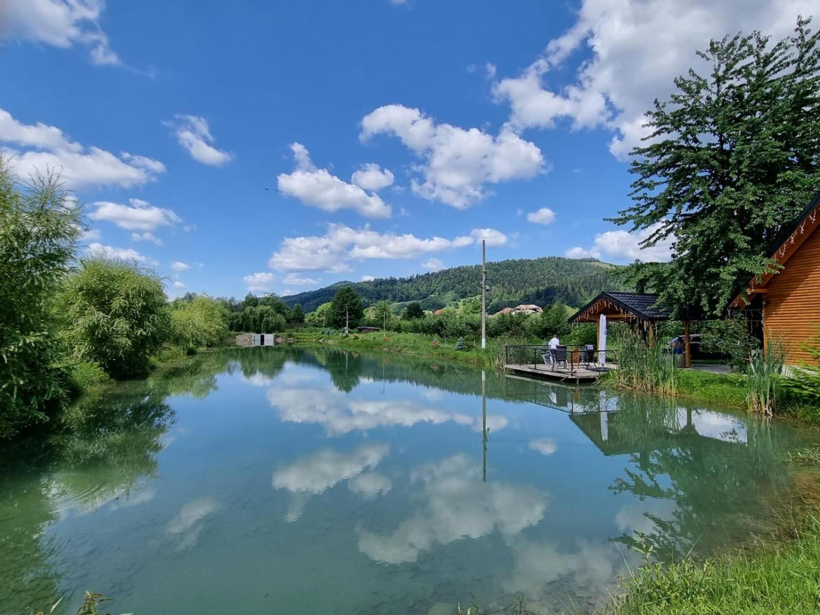 Moonlake Chalet Gainesti Ngoại thất bức ảnh