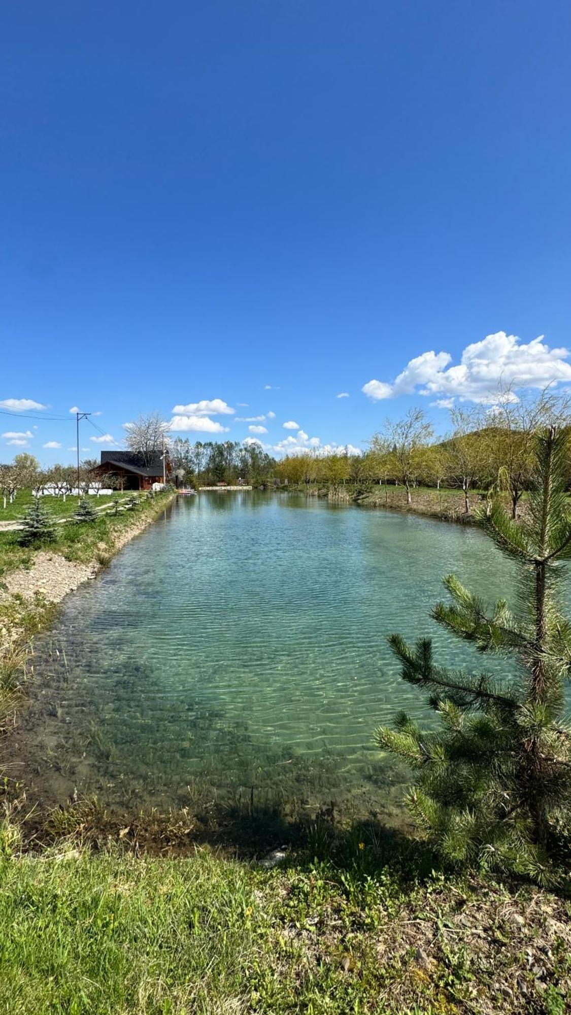 Moonlake Chalet Gainesti Ngoại thất bức ảnh