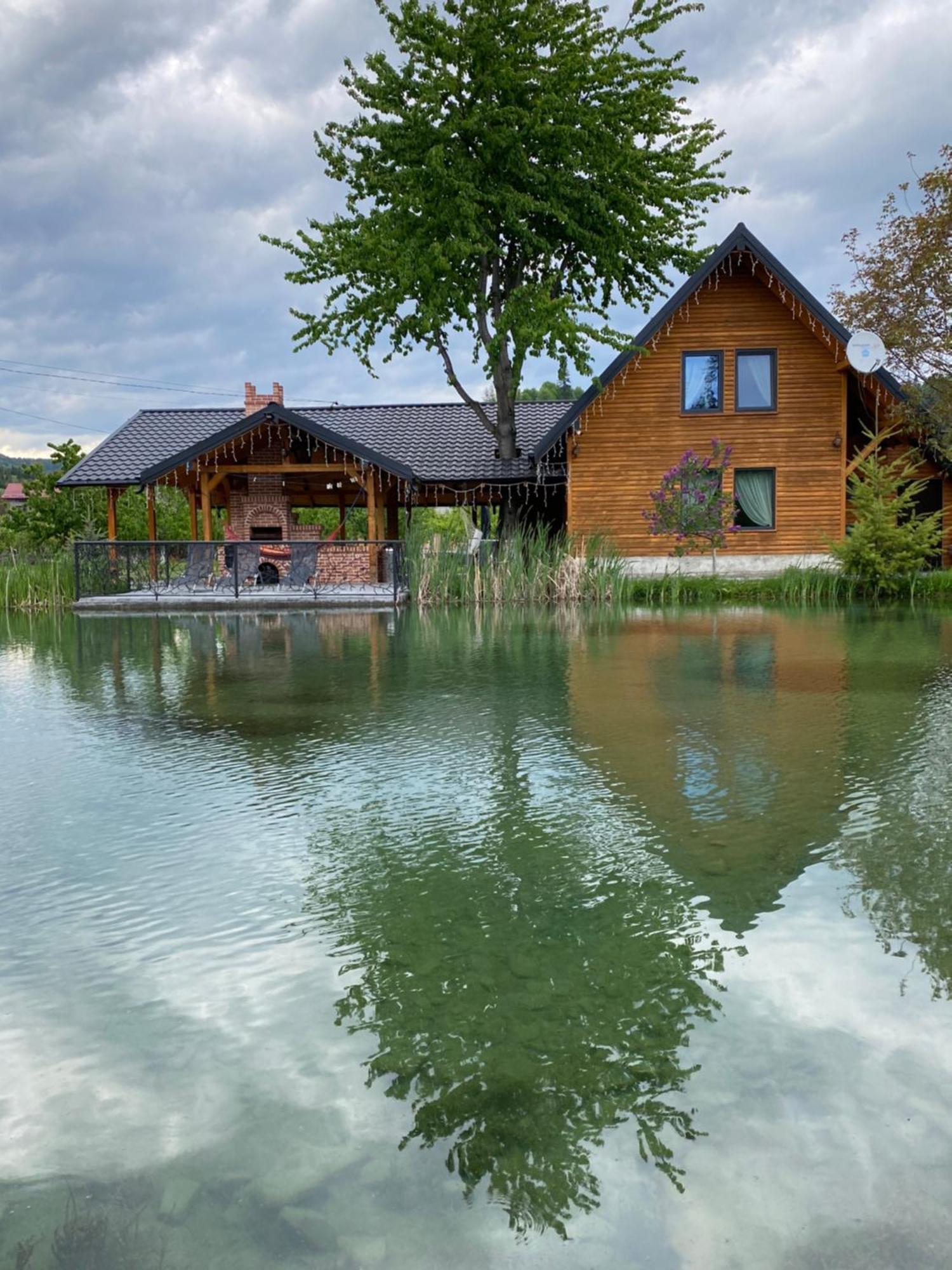 Moonlake Chalet Gainesti Ngoại thất bức ảnh